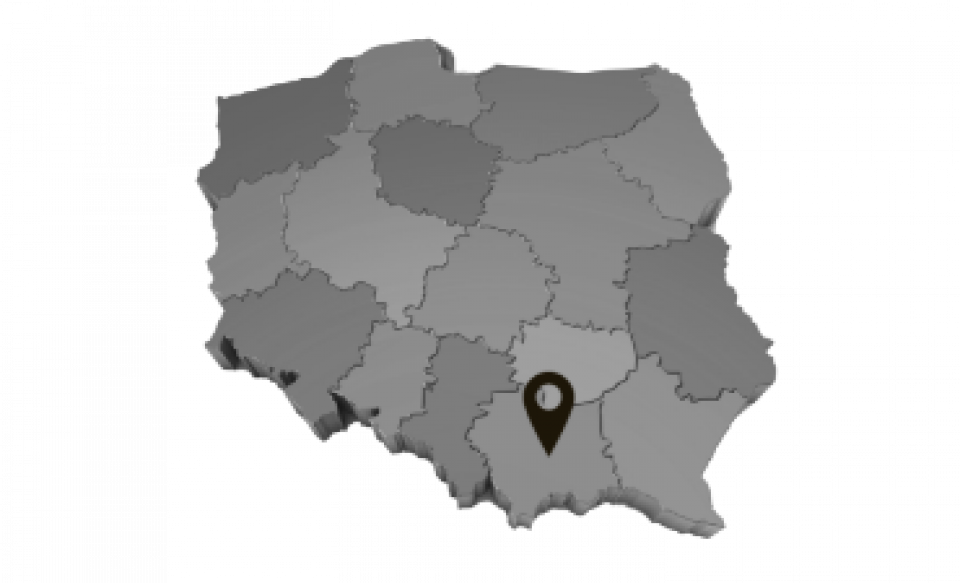 pin Małopolskie