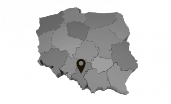 pin Śląskie