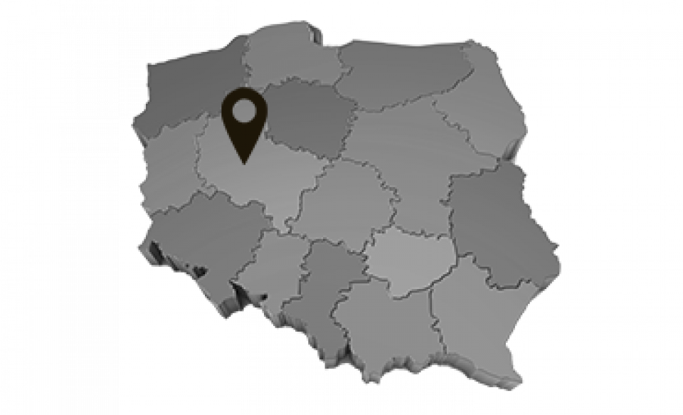 pin Wielkopolskie